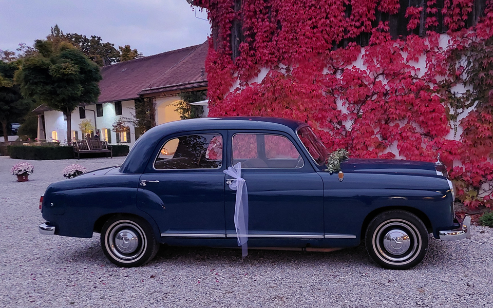 Bild-Merceses Herbststimmung Gut Romenthal