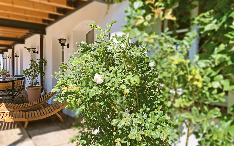 ferienwohnung gut rohmenthal ammersee